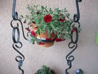 IMG_1968.webp