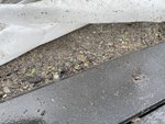 IMG_0051.jpg