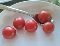 20220503_090040.webp