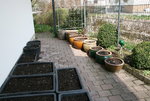 April 0319.JPG