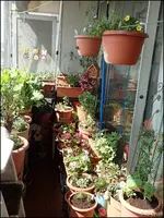 c020.webp