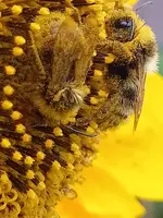 IMG20210919145007.webp IMG20210919145007.webp