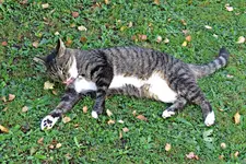 IMG_7370 - Copy.webp