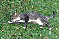 IMG_7371 - Copy.webp