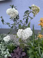 826FE7AF-A4D7-4525-B312-2BC59403C563.webp