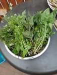 IMG_20220503_175604.jpg
