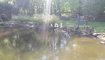 20220503_114907.jpg
