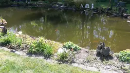 20220503_115018.webp