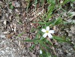 IMG_20220420_135030.jpg