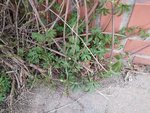 IMG_20220402_134715.jpg