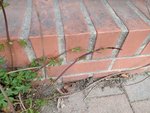 IMG_20220402_134725.jpg