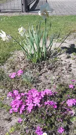 20220503_112746.webp