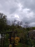 IMG_20220504_184542.jpg