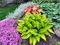 IMG_20220505_160328.webp