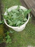 IMG_20220505_130146.jpg
