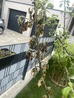 Foto 05.05.22, 17 57 49.webp