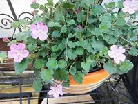 DSCI2879.webp