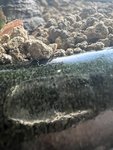 108171AA-79EA-44F5-AAE7-3FD3E23E5D8B.jpeg