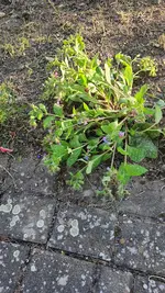 20220505_192528.webp