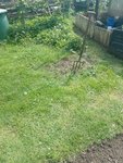 IMG_20220504_141004.jpg