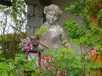 DSC02383.webp