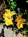 IMG_20220507_140804~2.jpg