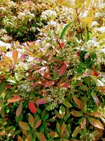 IMG_20220507_140657~2.webp