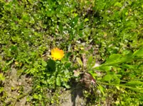 IMG_20220507_140630.webp