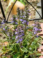 IMG_20220507_082941.webp