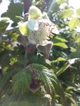 IMG_20220507_153600.jpg
