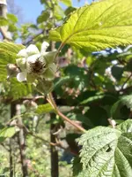 IMG_20220507_153723.webp