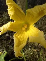 IMG_20220507_155740.webp