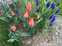 IMG_0083.JPG