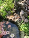 IMG_0092.JPG