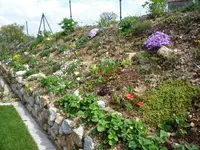 P1070735.webp