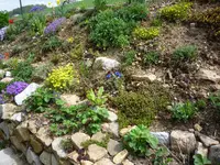 P1070740.webp