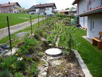 P1070753.JPG