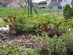 P1070760.JPG