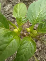 IMG_20220508_162621.webp