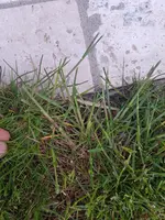 20220430_182441.jpg