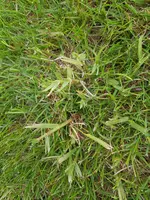 20220430_182248.webp
