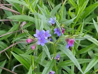 IMG_20220508_081739 (2).webp