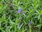 IMG_20220508_081739.jpg