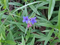 IMG_20220508_081800 (2).webp