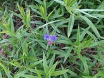 IMG_20220508_081800.jpg