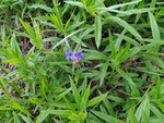 IMG_20220508_081806.jpg