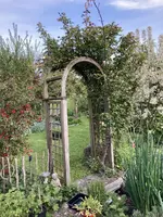 IMG_0722(1).webp