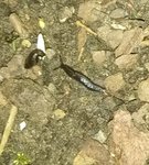 IMG_20220508_230910~2.jpg