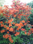 20220507_075834.jpg