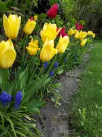 20220415_163805.jpg